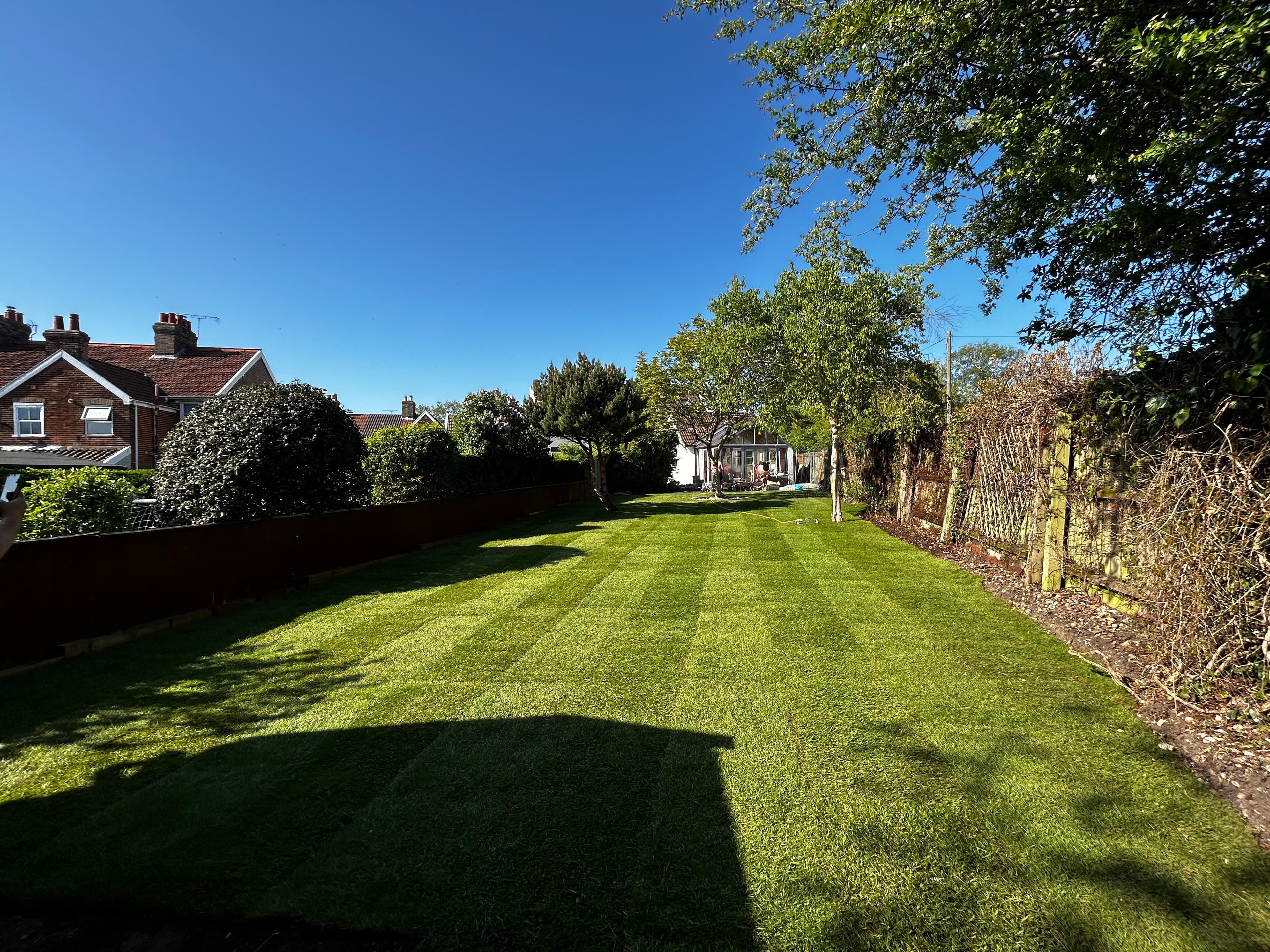 Neatly mown striped lawn in a sunny backyard garden under a clear blue sky.